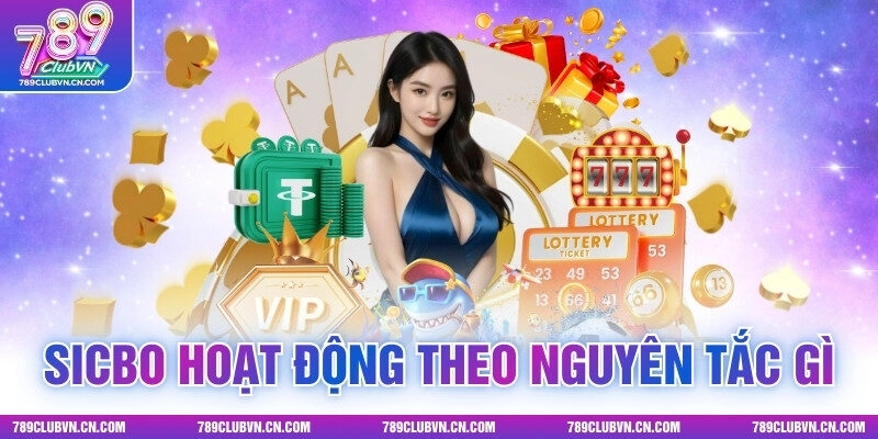 Sicbo Hoạt Động Theo Nguyên Tắc Gì? Cách Xác Định Kết Quả